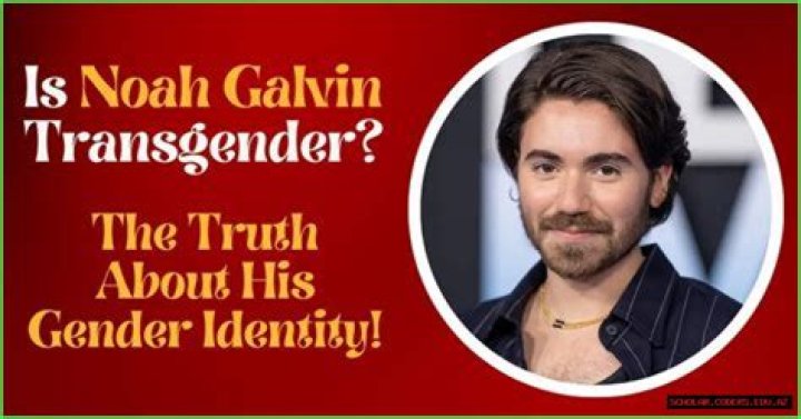 Noah Galvin's Identity: Clearing Up the Buzz Around "Noah Galvin Transgender"
