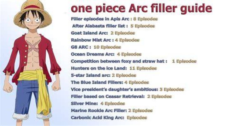 One Piece Filler: A Comprehensive Guide for Fans