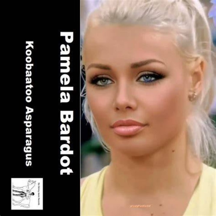 Pamela Bardot: Inspiring Growth and Online Presence Today