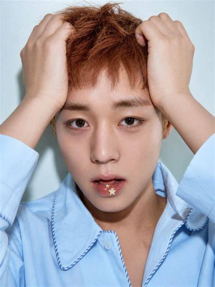 Park Jihoon: A Journey Through Music and Acting