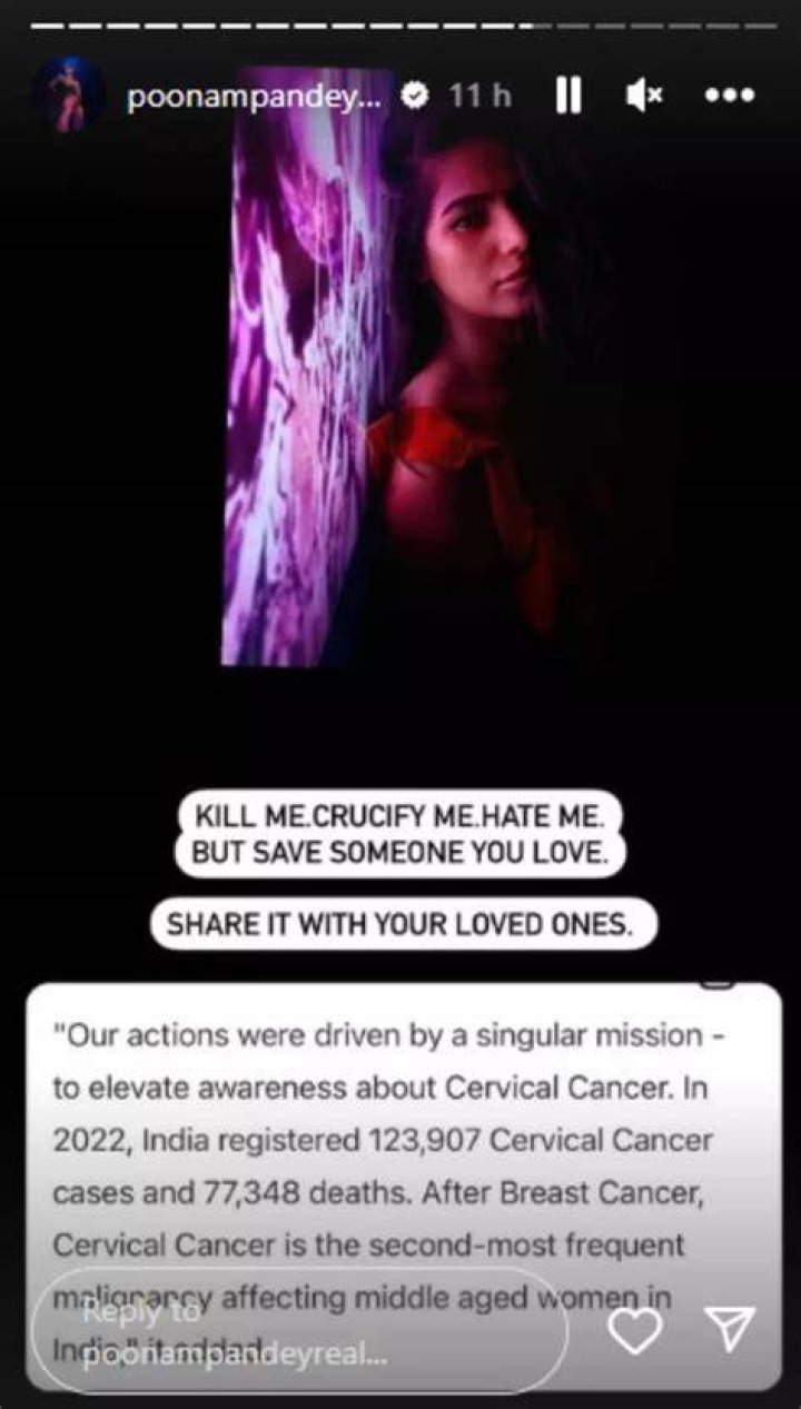 Poonam Pandey's Public Persona: Unpacking the Search for 'Porn Video' Content
