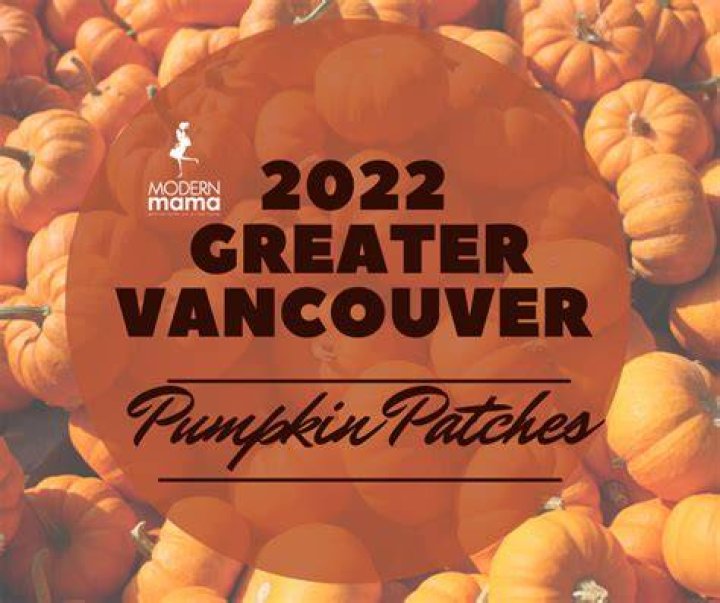 Pumpkin Dad: The Modern Trend of Celebrating Parenthood and Fall Season