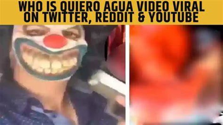 Quiero Agua Reddit: Unpacking the Viral Phenomenon and Its Deep Impact
