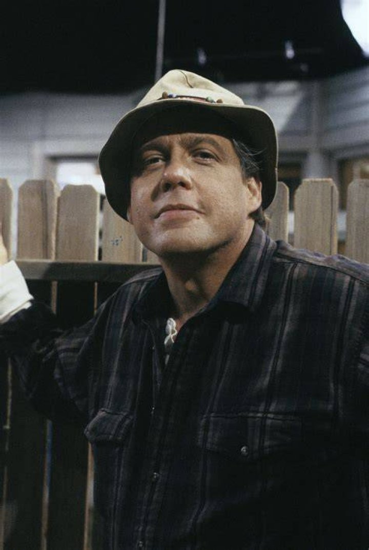 Remembering Earl Hindman: The Man Behind Home Improvement's Iconic Neighbor Wilson