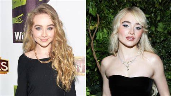 Sabrina Carpenter's Evolving Image: Decoding Public Conversations Around Her Bold Artistic Choices