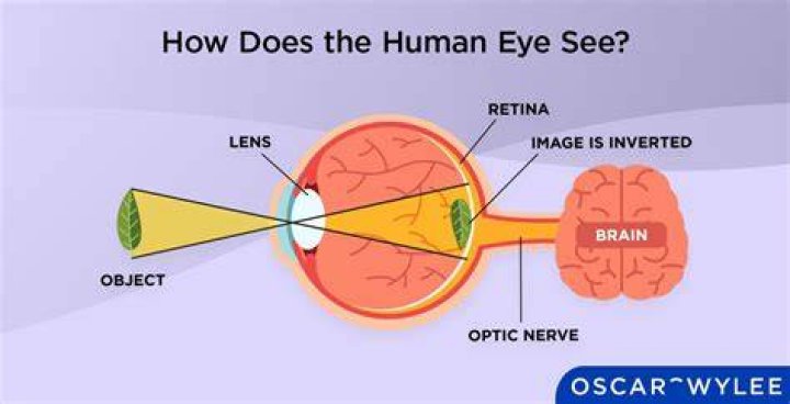 Seeing Clearly: How Your Eyes Adapt to Light with hdforhub
