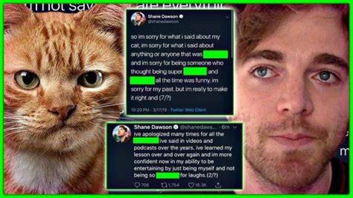 Shane Dawson Allegations Cat: Unpacking the Controversy