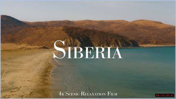 Sia Siberia: Exploring the Online Persona and Her Vibrant Communities
