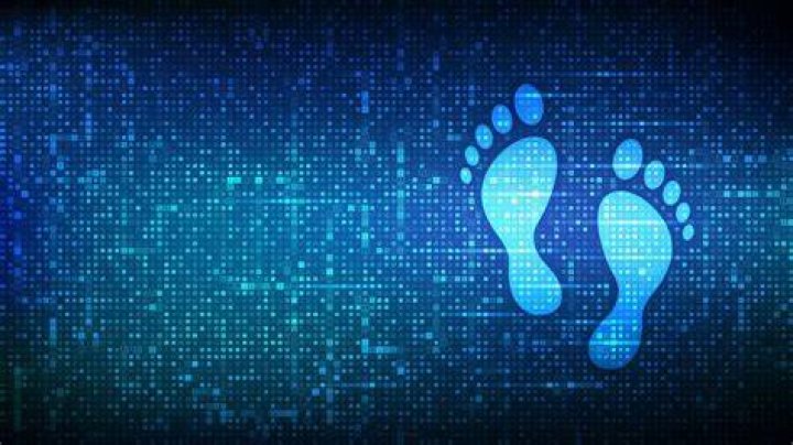 Skylar Blue: Exploring the Talent, the Journey, and the Digital Footprint