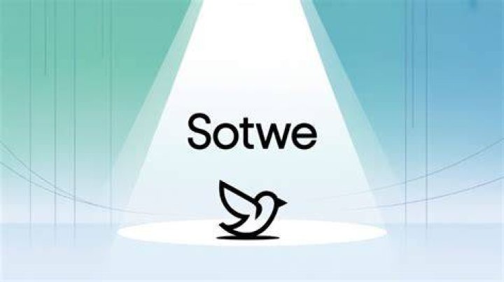 Sotwe and the Ongoing Search for Twitter Viewing Alternatives