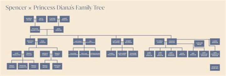 Spencer Soicher Parents: Unpacking the Family Connection and Origins of Spencer's Store