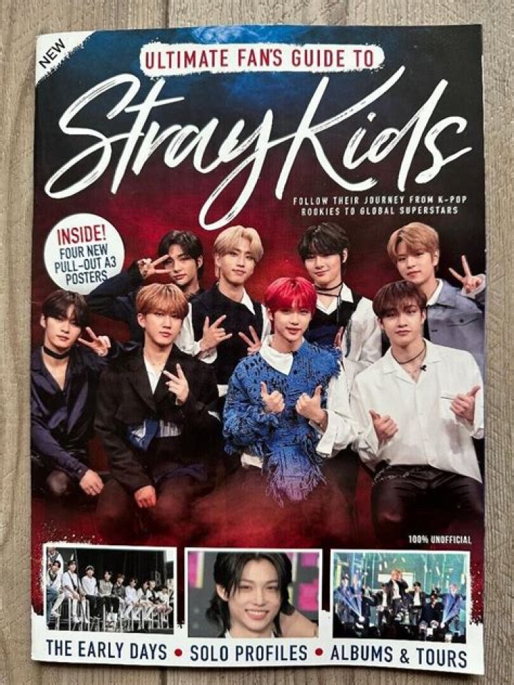 Stray Kids: The Ultimate Guide to the Rising K-Pop Sensation