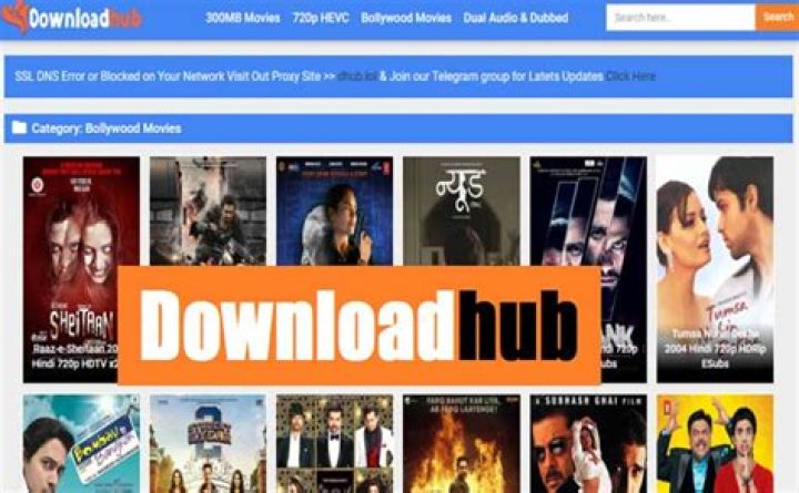 Streamlining Your Entertainment: The Easy Way to Handle Downloadhub Movie Download
