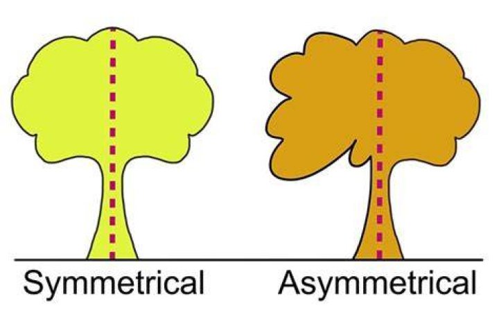 Symmetrical Explained: Finding Balance in Language, Math, and Life
