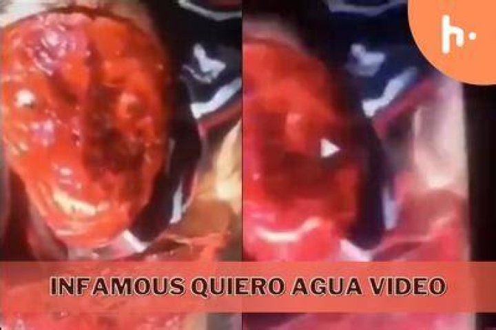 The "quiero agua original" Video: Unpacking its Viral Journey and Societal Echoes