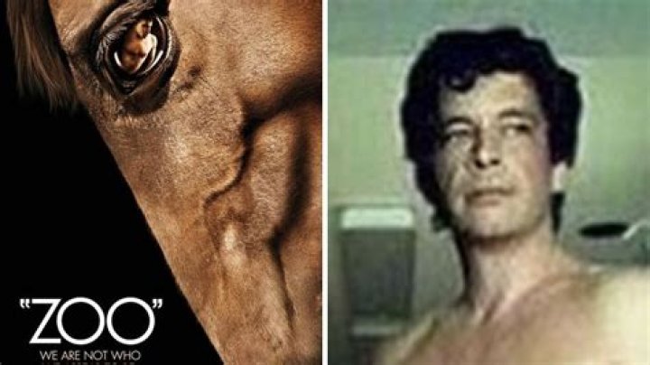 The 'mr.hands' Story: Unpacking a Notorious 2005 Incident