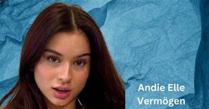 The Andie Elle of Leak: Unpacking Recent Digital Content Concerns