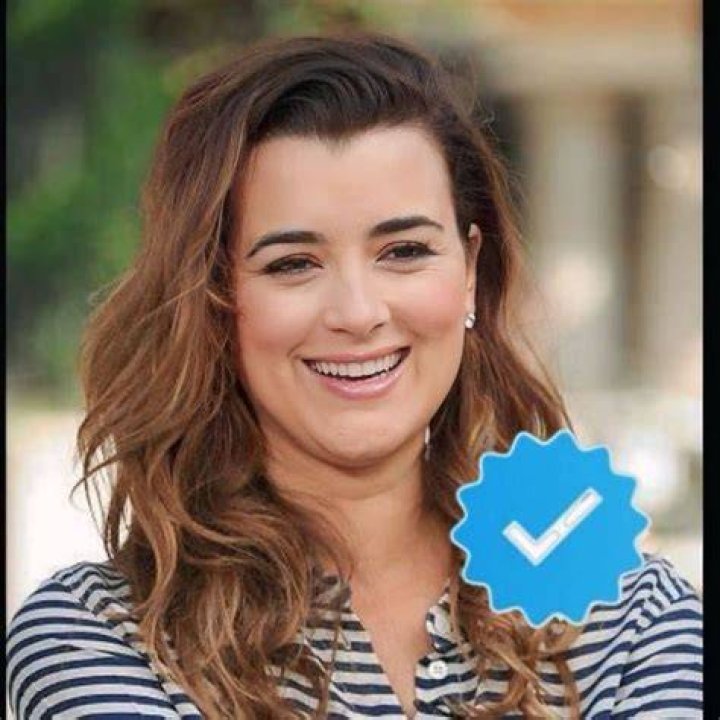 The Curious Case of Cote de Pablo Manžel: What Fans Really Want to Know