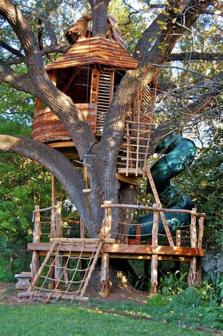 The End of an Era: What "Treehouse Masters Death" Really Means