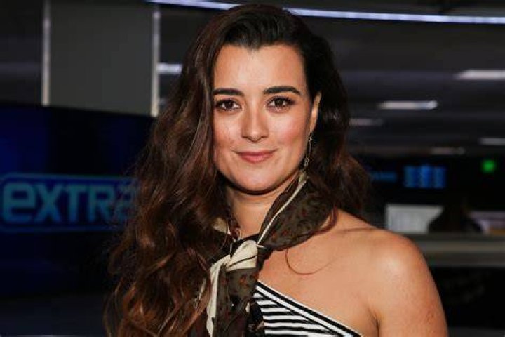 The Enduring Question: What's Known About Cote de Pablo's Boyfriend's Name?