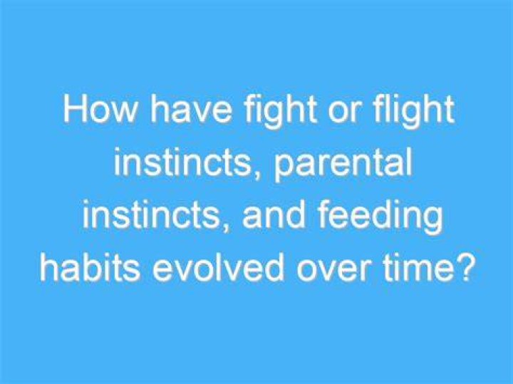 The Evolved Fight: How Competition Changes Over Time