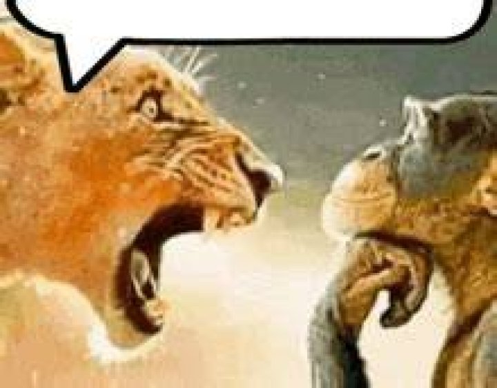 The Hilarious Showdown: Why Everyone's Talking About Lion Yelling at Monkey