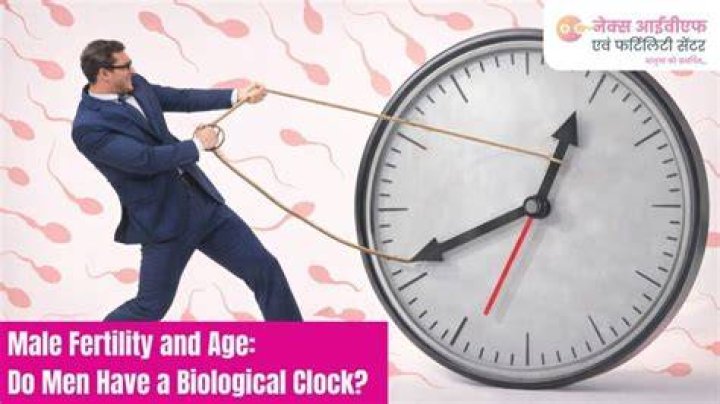 The Male Biological Clock: Understanding When Men Want to Be Fathers
