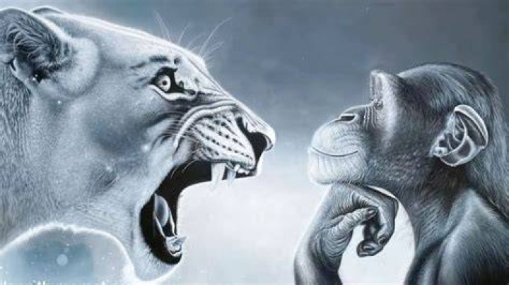 The Roar and the Chatter: Unpacking the **Yelling Lion and Monkey** Dynamic
