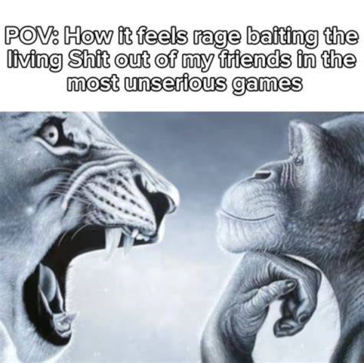 The Roaring Truth: Why the Lion Yelling at Monkey Meme Captures So Much