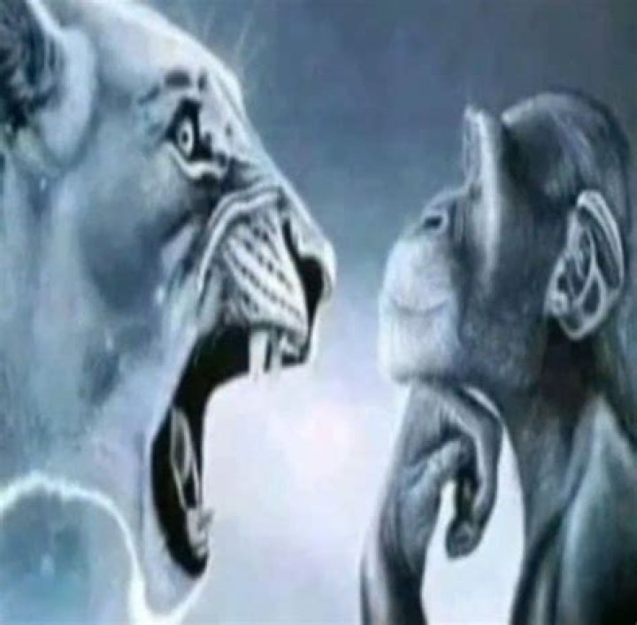 The Viral Roar: What's Behind That Lion Yelling at Monkey Pic?