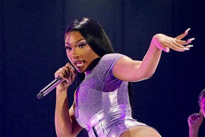 Understanding "Meg Thee Stallion Erome": Clarifying System Status and Support
