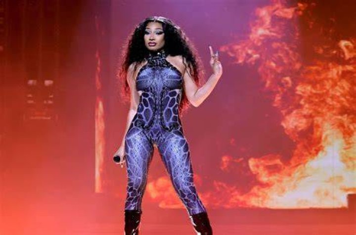 Understanding 'Meg Thee Stallion Erome' Searches: Navigating Online Information with Care