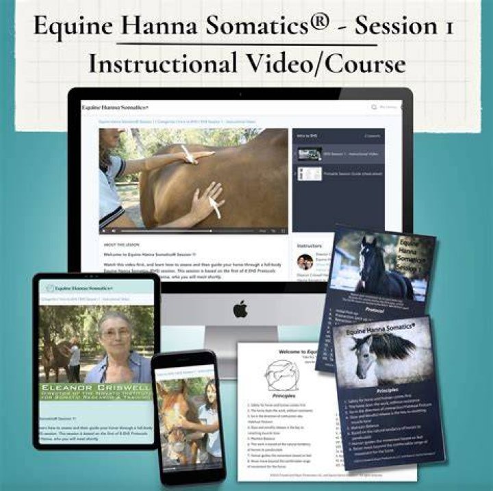Understanding Horsemating: A Gentle Guide to Equine Reproduction