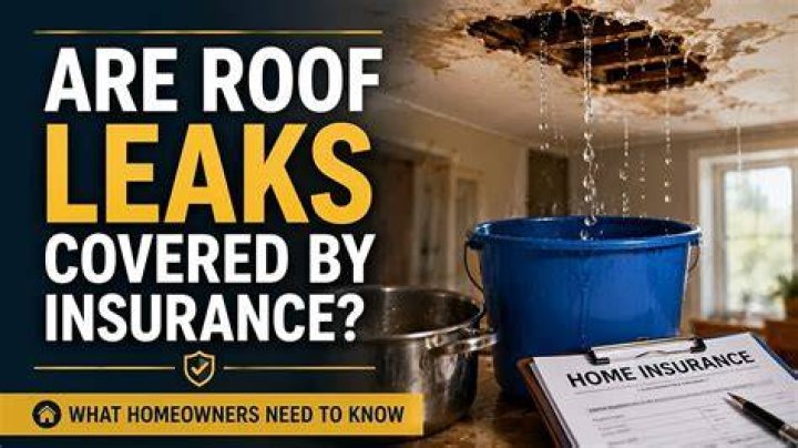Understanding Popach Leaks: What You Need to Know Today