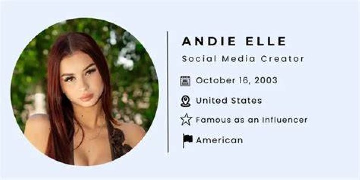 Understanding the Buzz Around Andie Elle: Exploring Her Digital Presence and Fan Interest Today