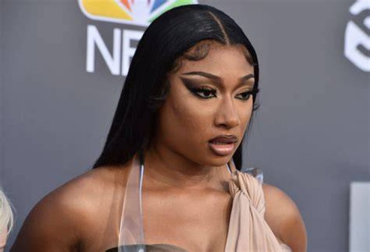 Understanding the Buzz Around Megan Thee Stallion and Online Searches