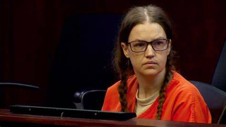 Understanding the Case of Shanda Vander Ark: A Look at the Muskegon County Trial