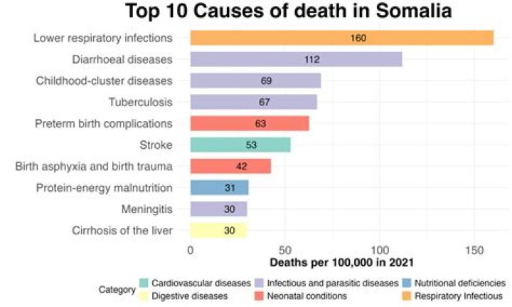 Understanding the Leading Causes of Death in Somalia: A Deep Dive