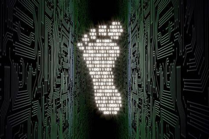 Understanding the Online Interest in Camilla Araujo's Digital Footprint