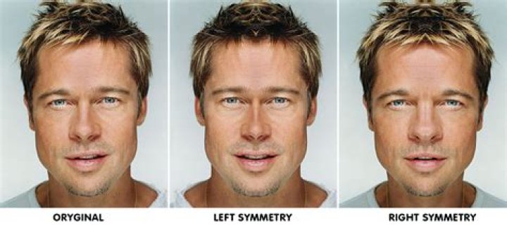 Understanding the Symmetrical Face Test: What Your Features Might Reveal