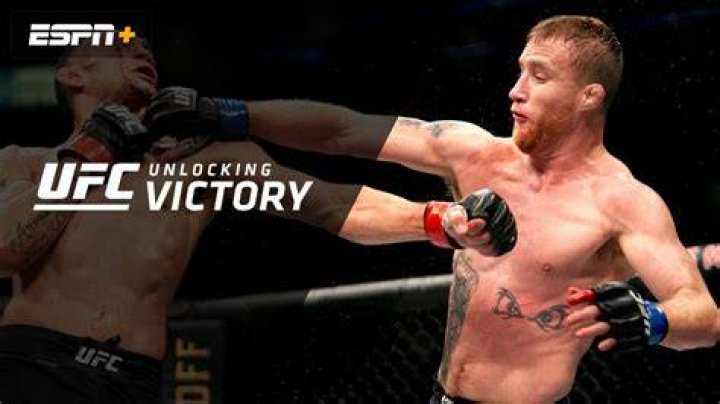 Unlocking Victory: Strategies for Evolved Fights in Today's Gaming World