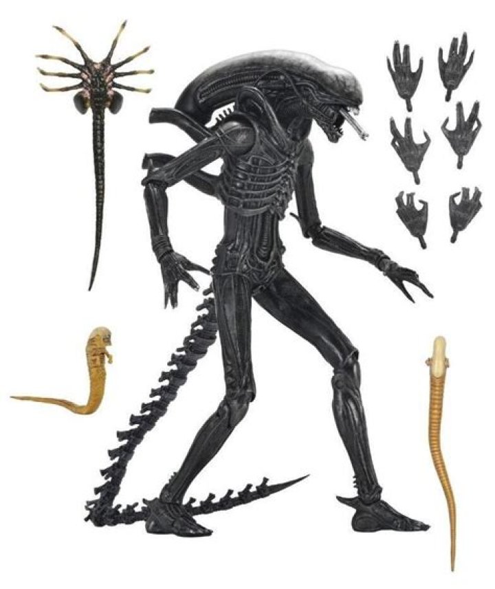 Unmasking the Icon: Who Was the Tall, Skinny Figure Behind Alien's Xenomorph?