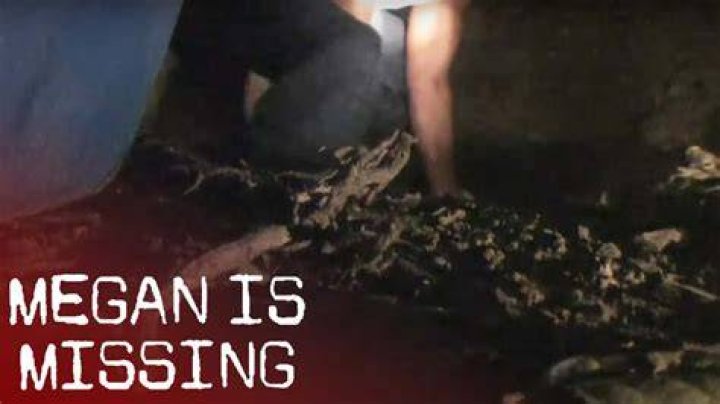 Unpacking 'Megan Is Missing Photos One and Two': A Deep Dive into Its Disturbing Legacy and What Sets It Apart