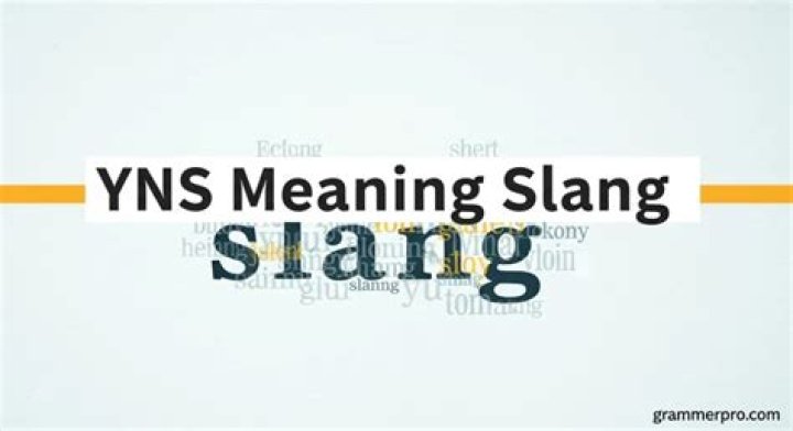 Unpacking 'YNS Meaning Slang': Your Guide to This Evolving Internet Term