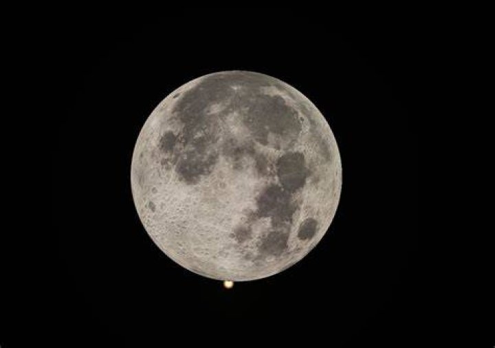 Unpacking Luna Vitaler Wiki: A Guide to the Many Meanings of 'Luna'