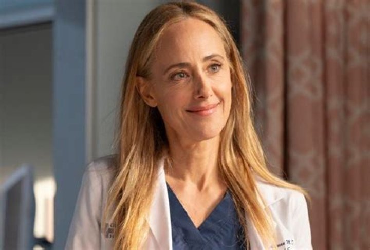 Unpacking Teddy Altman: The Enduring Heart of Grey's Anatomy