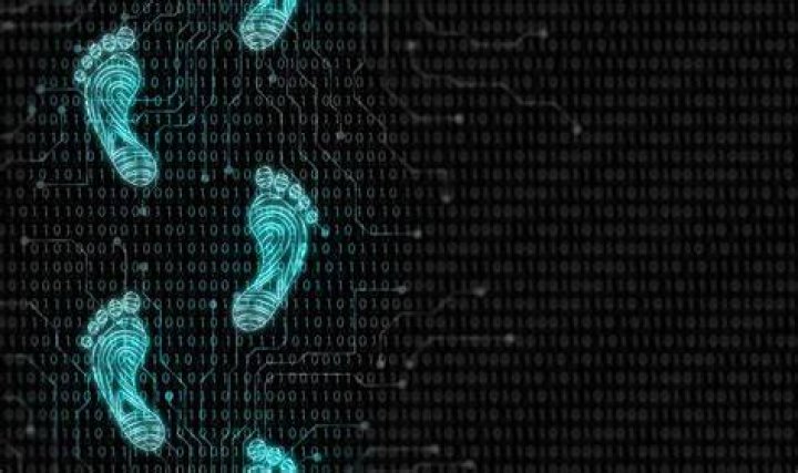 Unpacking the Buzz Around Alana Erome: A Look at Digital Footprints and Online Privacy