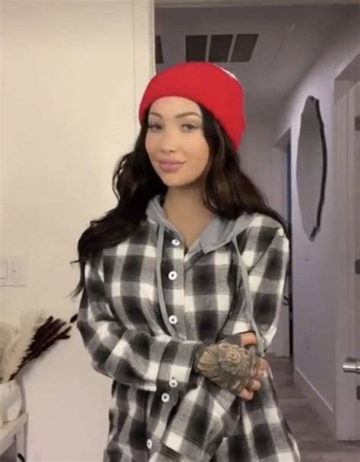 Unpacking the Digital Charm of Willow Harper: TikTok Star and Beyond