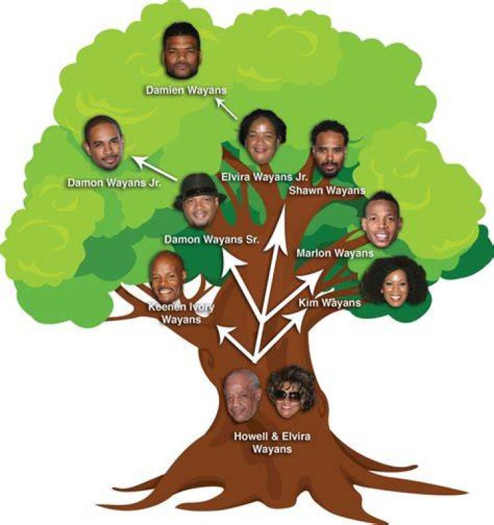 Unpacking the Incredible Wayans Family Tree: A Comedy Dynasty's Roots