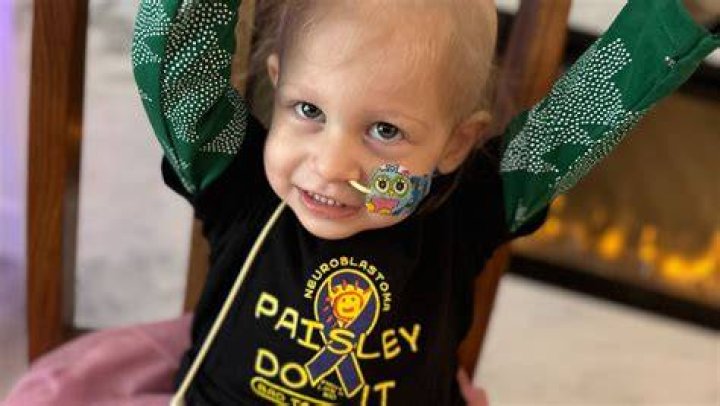 Unpacking the Journey of Paisley Porter: A Pattern's Global Story